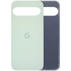 Back Cover Glass For Google Pixel 9 (Used OEM Pull: Grade A) (Wintergreen)