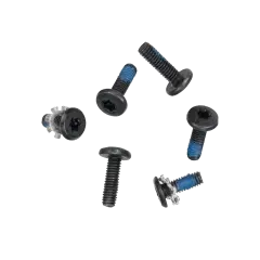 Hinge Screws (Torx T8) For MacBook 13" A1342 (2009-2010)