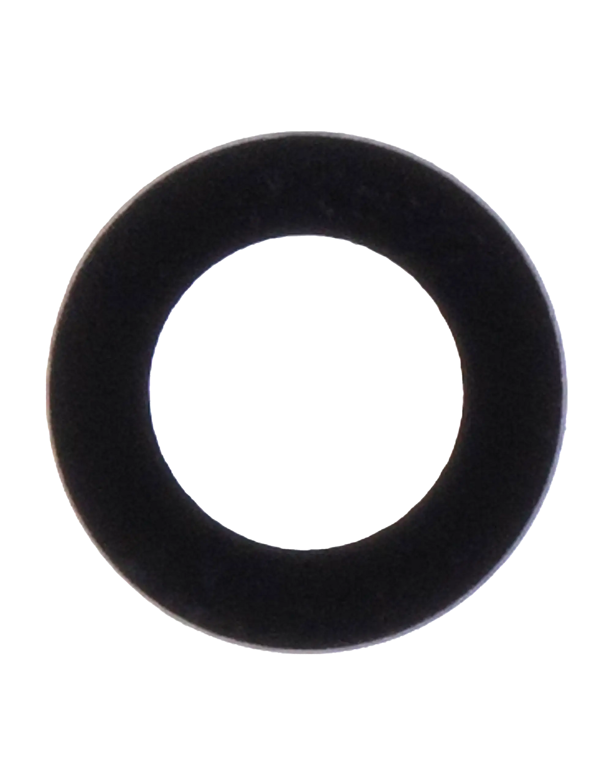 Back Camera Lens For iPad 5 (2017) / iPad 6 (2018) / iPad 7 (2019) / iPad 8 (2020) / iPad 9 (2021) / Air 2 / Mini 4 / Mini 5 / iPad Pro 12.9" 1st Gen (2015) (10 Pack)