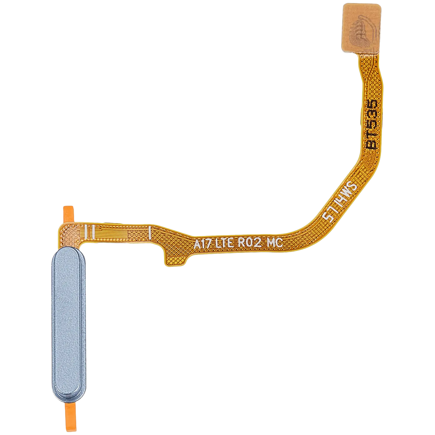 Fingerprint Reader With Flex Cable For Samsung Galaxy A17 4G (A175 / 2025) (Light blue)