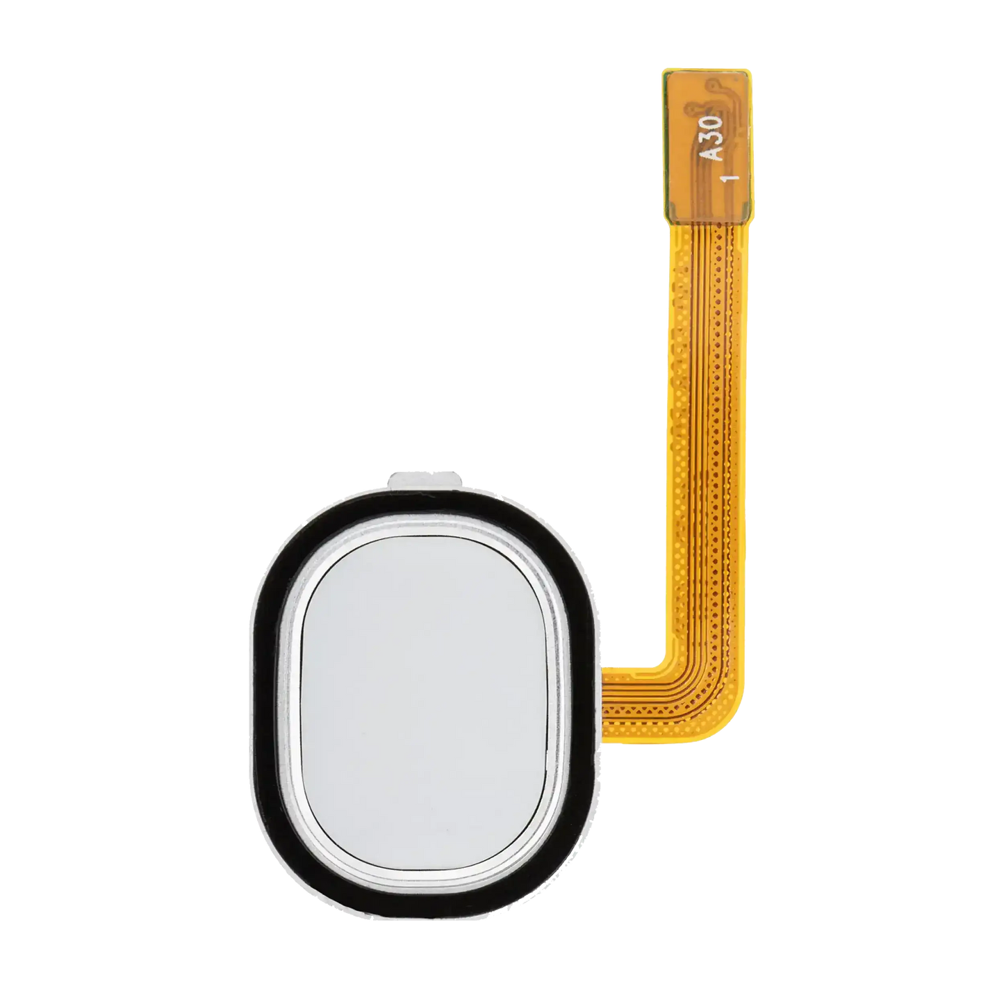 Fingerprint Reader With Flex Cable For Samsung Galaxy A30 (A305 / 2019) / A40 (A405 / 2019) (White)