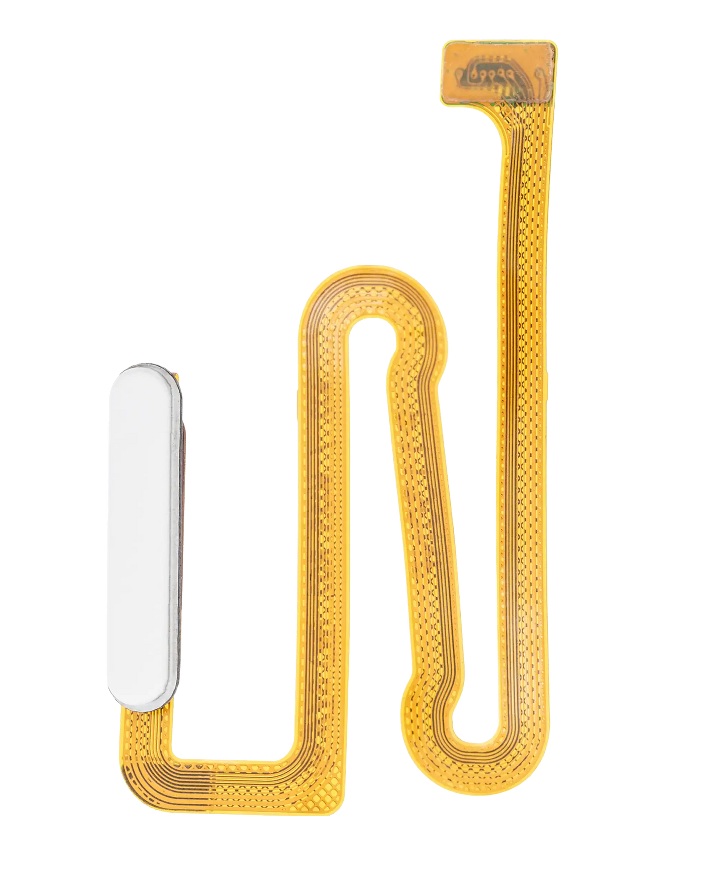 Fingerprint Reader With Flex Cable For Samsung Galaxy A12 (A125 / 2020) (White)