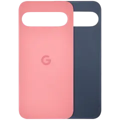 Back Cover Glass For Google Pixel 9 (Used OEM Pull: Grade A) (Peony)