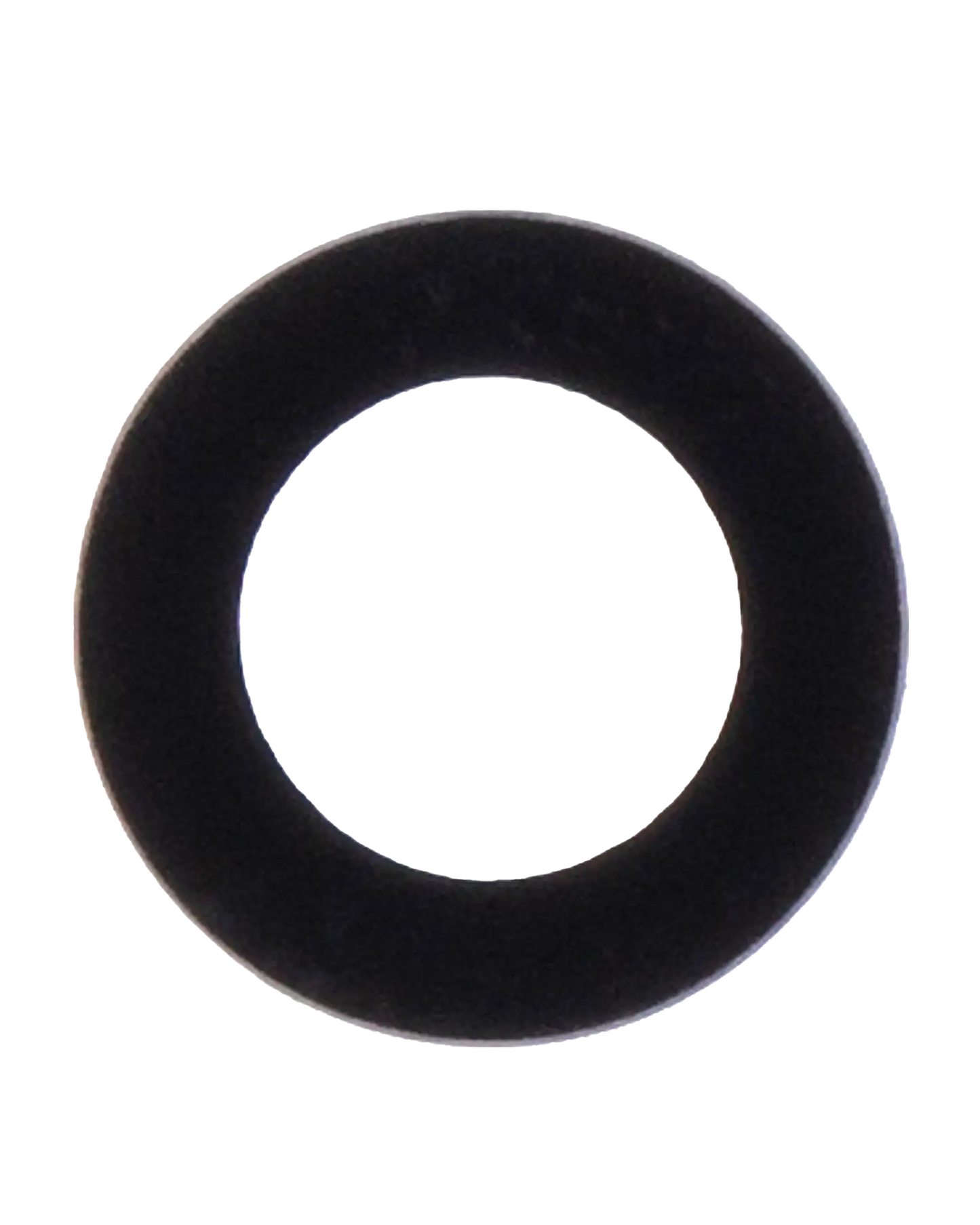 Back Camera Lens For iPad 5 (2017) / iPad 6 (2018) / iPad 7 (2019) / iPad 8 (2020) / iPad 9 (2021) / Air 2 / Mini 4 / Mini 5 / iPad Pro 12.9" 1st Gen (2015) (10 Pack)