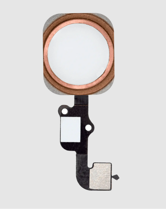 Home Button With Flex For iPhone 6S / 6S Plus (Rose Gold)