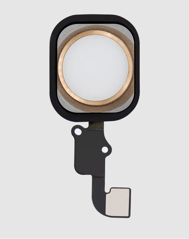 Home Button With Flex For iPhone 6 / 6 Plus (Gold)