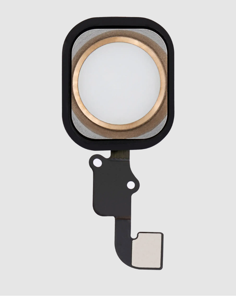 Home Button With Flex For iPhone 6 / 6 Plus (Gold)