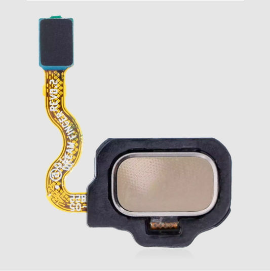 Fingerprint Reader With Flex Cable For Samsung Galaxy S8 / S8 Plus (Maple Gold)